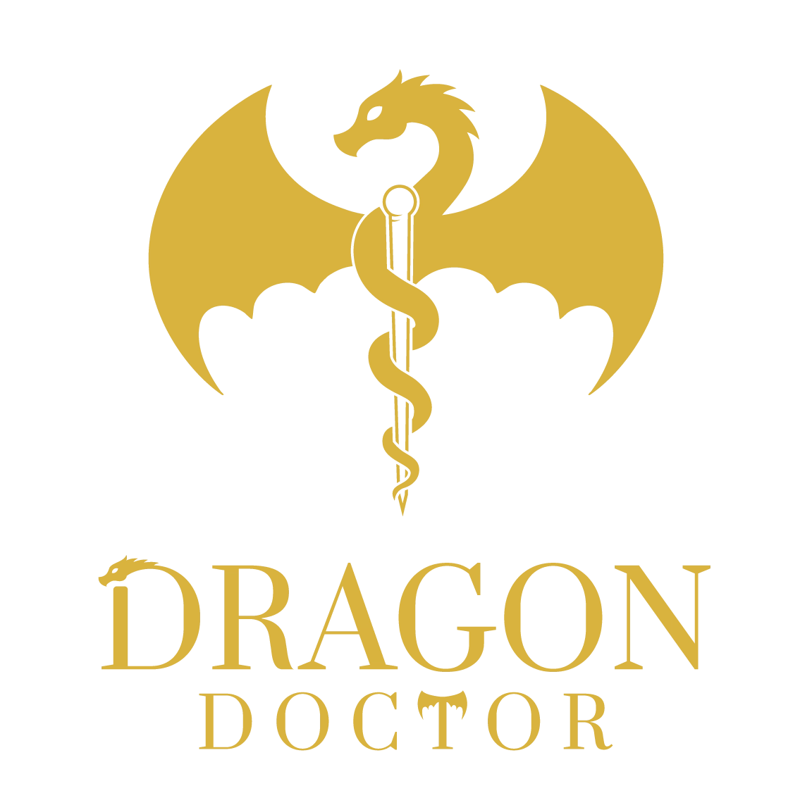 Dragon Doctor Logo